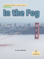 Tapa de In the Fog