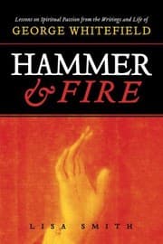 Tapa de Hammer and Fire