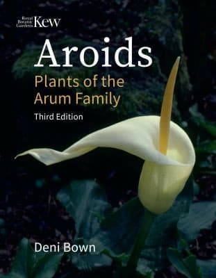 Tapa de Aroids