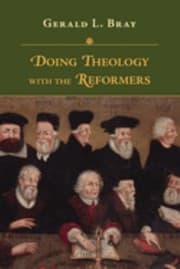 Tapa de Doing Theology with the Reformers