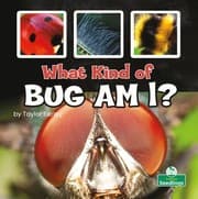 Tapa de What Kind of Bug Am I?