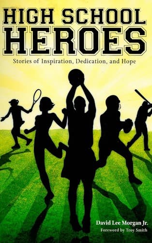 Tapa de High school heroes