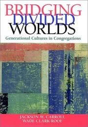 Tapa de Bridging Divided Worlds