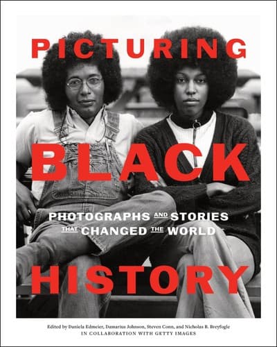Tapa de Picturing Black History