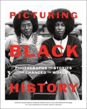 Tapa de Picturing Black History
