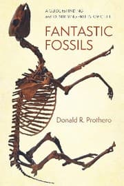Tapa de Fantastic Fossils