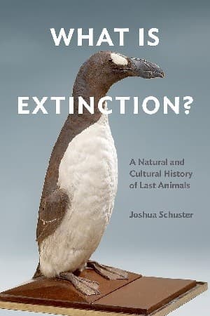 Tapa de What Is Extinction?