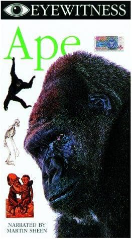 Tapa de Ape (Eyewitness Lvg Earth Video)