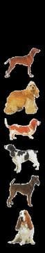 Tapa de Sticker Strips