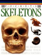 Tapa de Skeleton