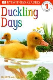 Tapa de Duckling days