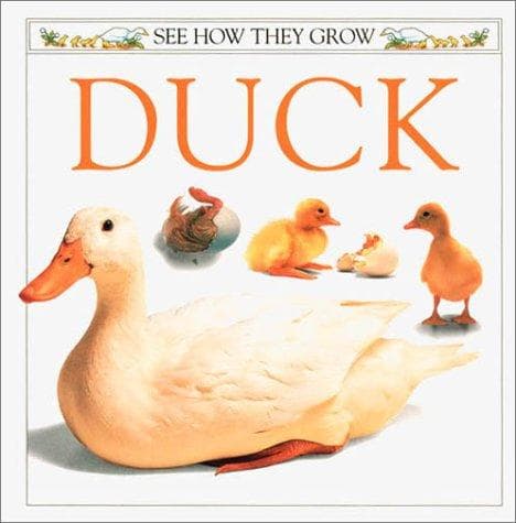 Tapa de See How They Grow