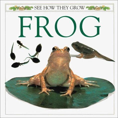 Tapa de Frog
