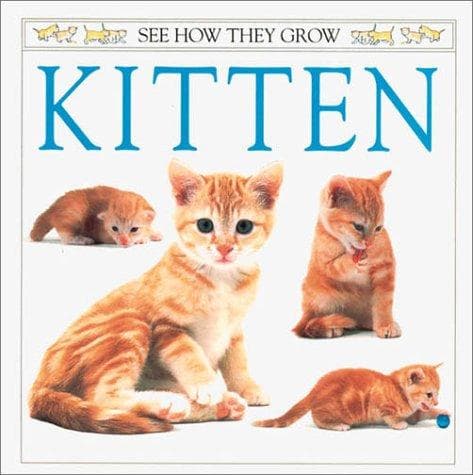 Tapa de Kitten