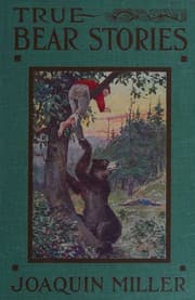 Tapa de True bear stories