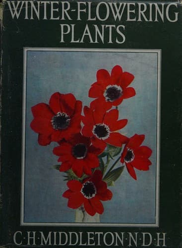Tapa de Winter Flowering Plants for Outdoor Borders