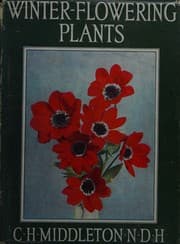 Tapa de Winter Flowering Plants for Outdoor Borders
