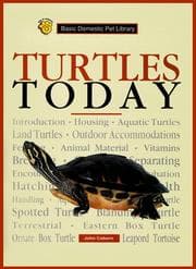 Tapa de Turtles today