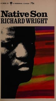 Tapa de Native Son