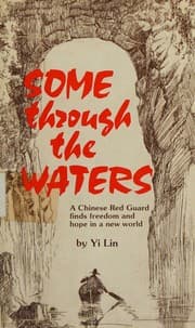 Tapa de Some Through the Waters