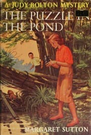 Tapa de The puzzle in the pond