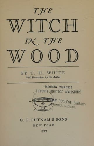 Tapa de The witch in the wood