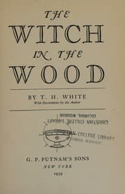 Tapa de The witch in the wood