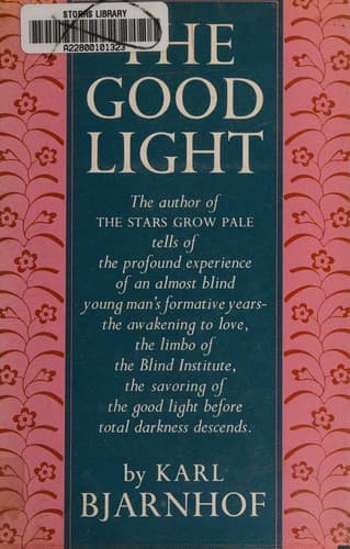 Tapa de The good light