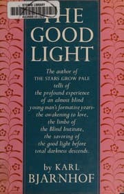 Tapa de The good light