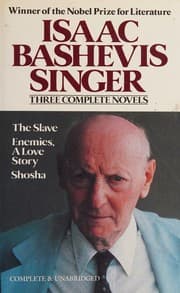 Tapa de The Slave, Enemies, A Love Story