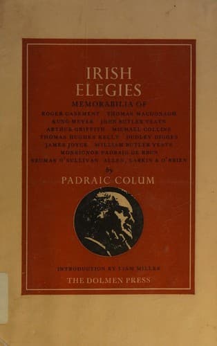 Tapa de Irish elegies