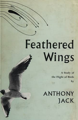 Tapa de Feathered wings