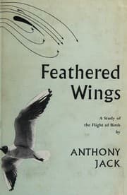 Tapa de Feathered wings