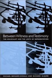 Tapa de Between witness and testimony