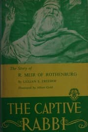 Tapa de The captive rabbi