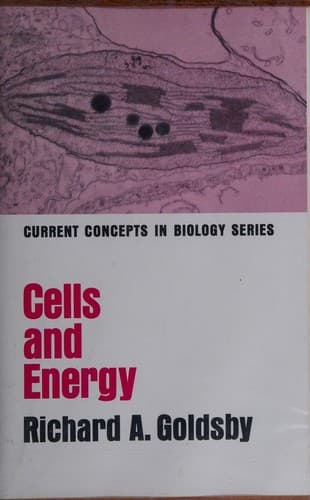 Tapa de Cells and energy
