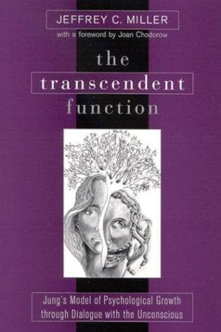 Tapa de The Transcendent Function