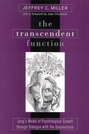 Tapa de The Transcendent Function