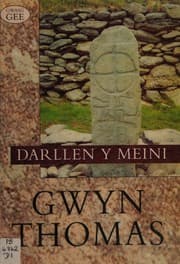 Tapa de Darllen y meini