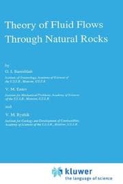 Tapa de Theory of fluid flows through natural rocks