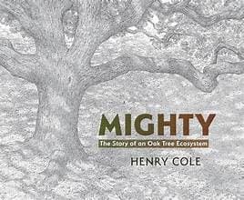 Tapa de Mighty