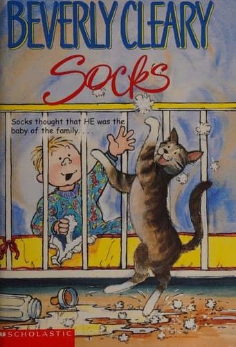 Tapa de Socks