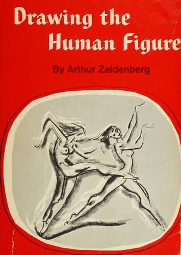 Tapa de Drawing the human figure,