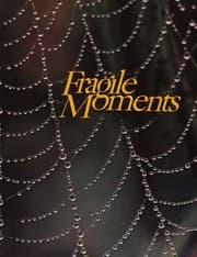Tapa de Fragile Moments...When God Speaks in Whispers