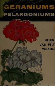 Tapa de Geraniums, pelargoniums