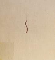Tapa de Giotto, Biographical and Critical Study (Vol. 32 of "The Taste of Our Time")