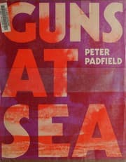 Tapa de Guns at sea
