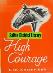 Tapa de High courage