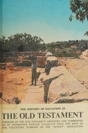Tapa de History of Salvation in the Old Testament