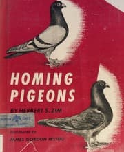 Tapa de Homing Pigeons